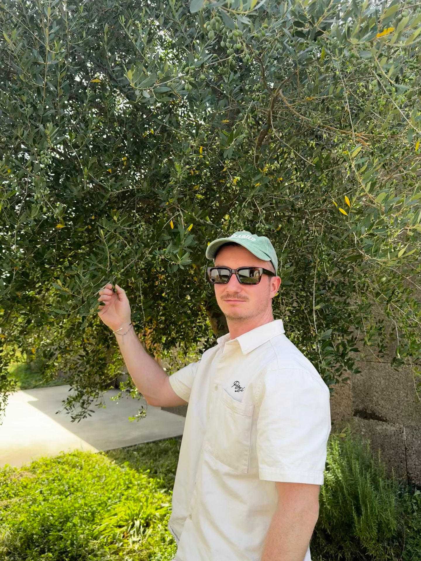 Moliv founder among the olive trees